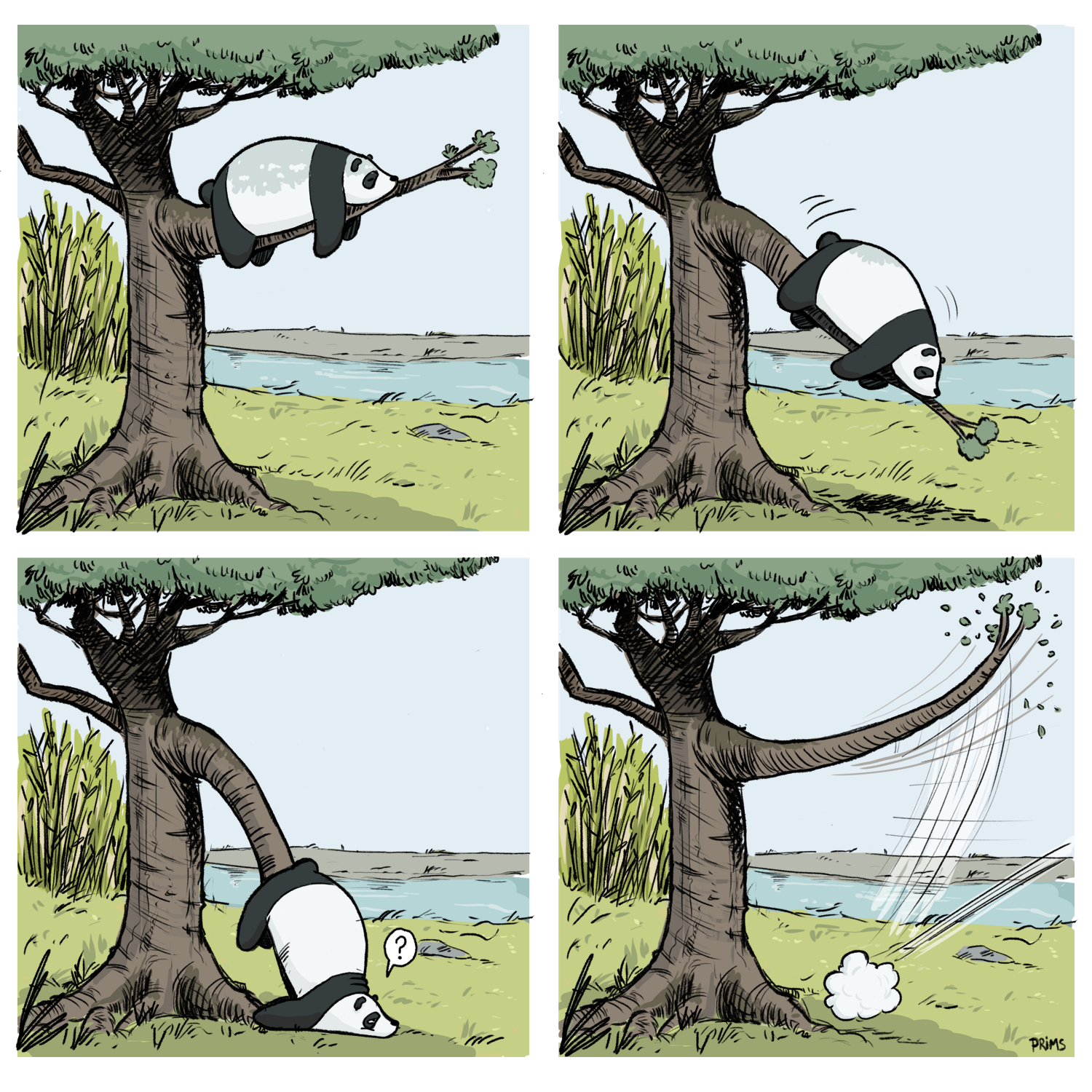 Dessin, BD : Catapulte à panda