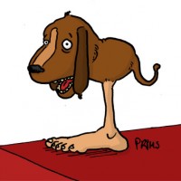 Dessin : Chien sur pied