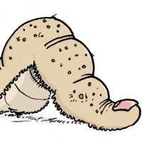 Dessin : Doigt limace