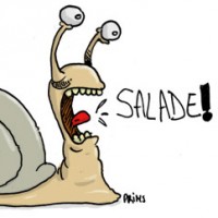 Dessin : Escargot affam&eacute;