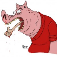 Dessin : Focus de porc