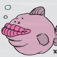 Dessin : Gros poisson