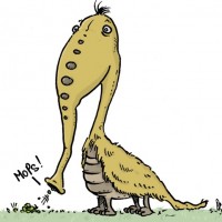 Dessin : Mops