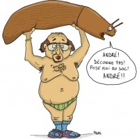 Dessin : Porte limace