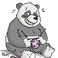 Dessin : Panda tricotant un slip