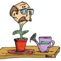 Dessin : Stachoplante