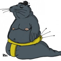 Dessin : Sumotarie