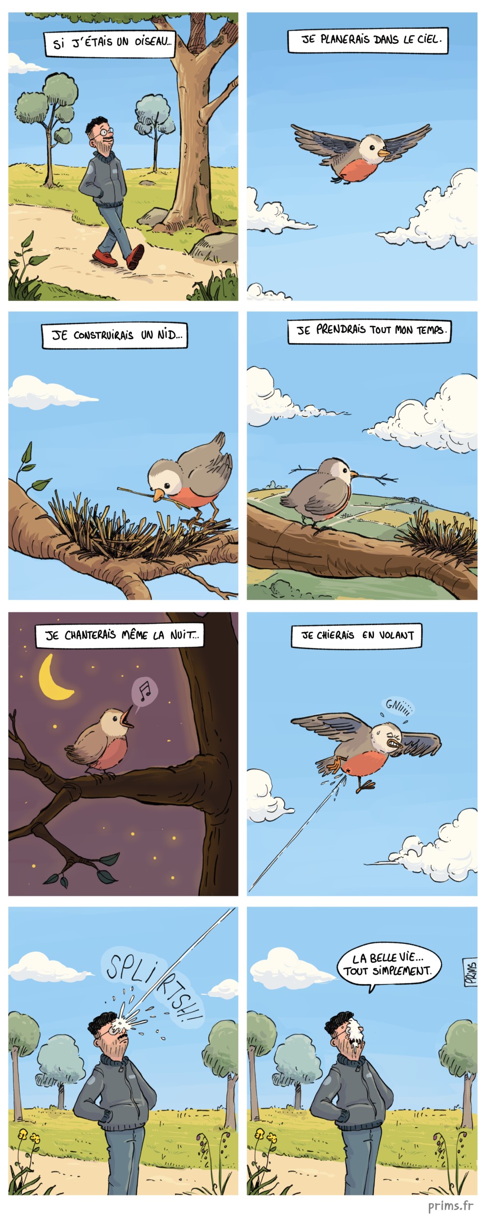 BD humour : Un homme se prom&egrave;ne en se demandant ce qu'il ferait si il &eacute;tait un oiseau.