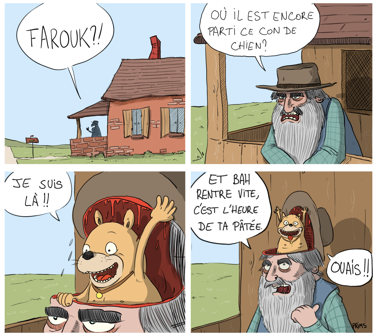 Dessin, BD : O&ugrave; est Farouk ? - par Prims